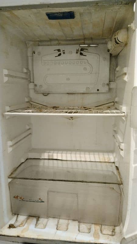 PEL Refrigerator 3