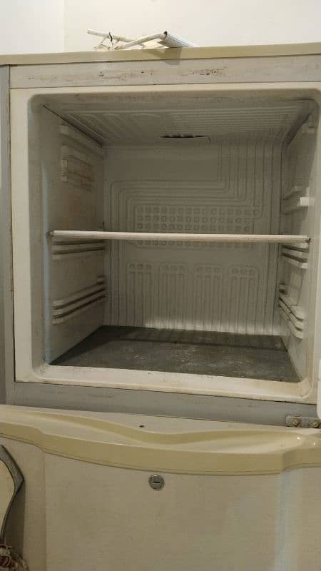 PEL Refrigerator 4