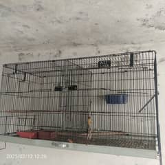 Cages for sale