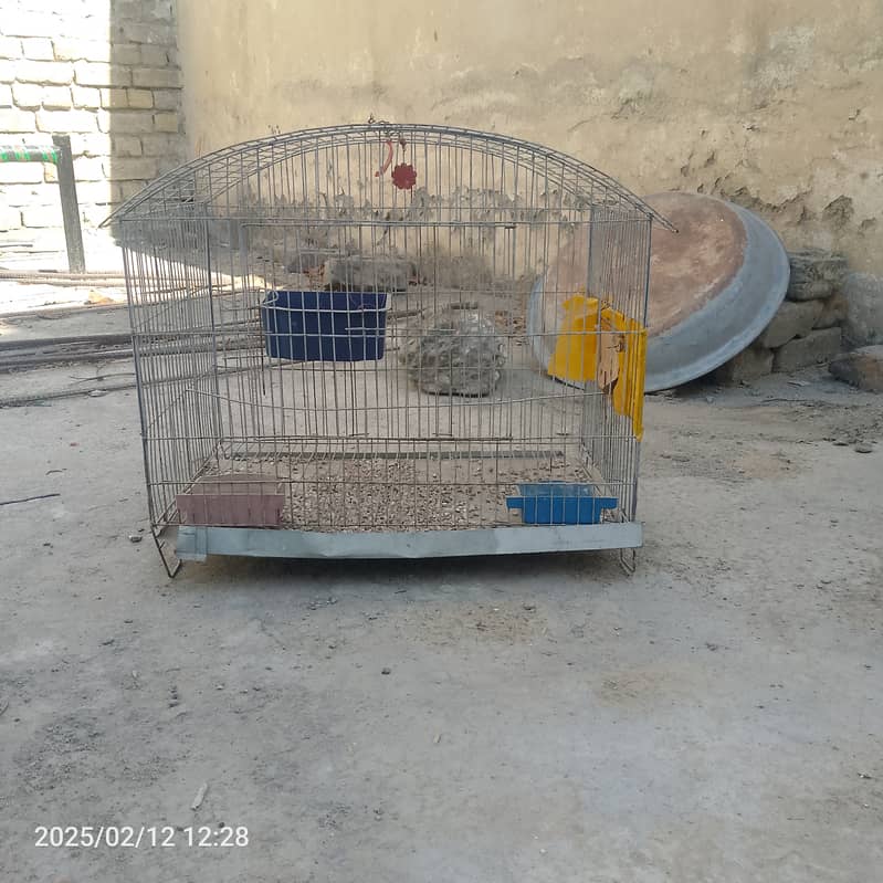 Cages for sale 3