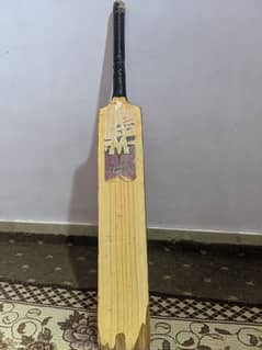 cricket bat