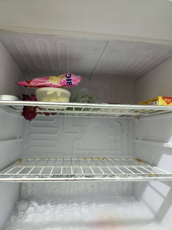 Orient Medium Fridge 4