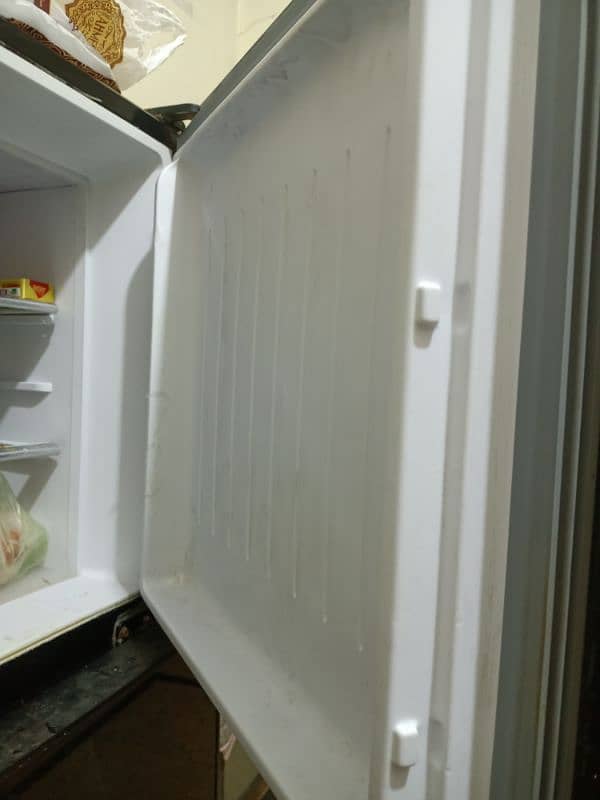 Orient Medium Fridge 5