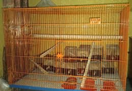 Cage for sell