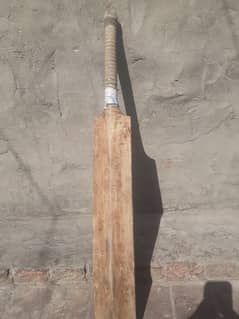 Hard Ball Cricket  bat