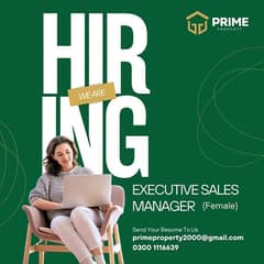 Sales Executive Manager