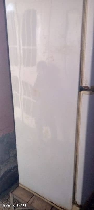 Urgently Sell Used PEL Medium Size Refrigerator 2