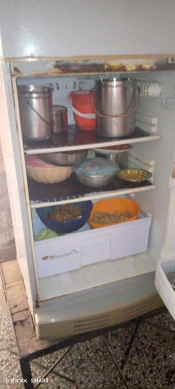 Urgently Sell Used PEL Medium Size Refrigerator 3