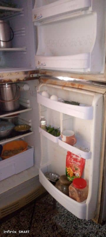 Urgently Sell Used PEL Medium Size Refrigerator 4