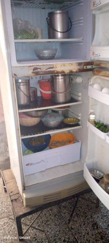 Urgently Sell Used PEL Medium Size Refrigerator 5