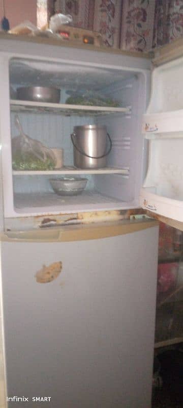 Urgently Sell Used PEL Medium Size Refrigerator 6