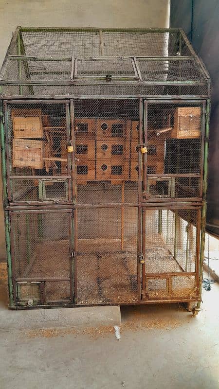 cage for sale 1