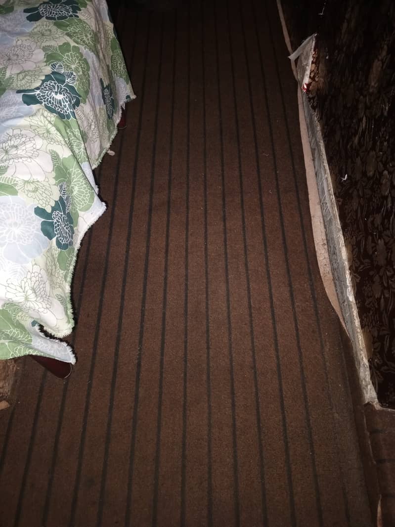 Carpet for Sale 1