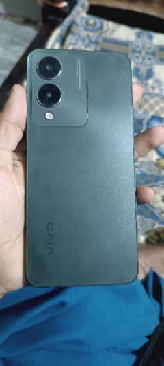 VIVO