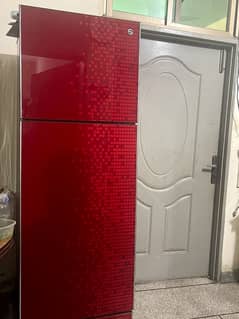 PEL Refrigerator Glass Door (USED)