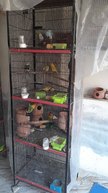 cage and bird for sale q 2