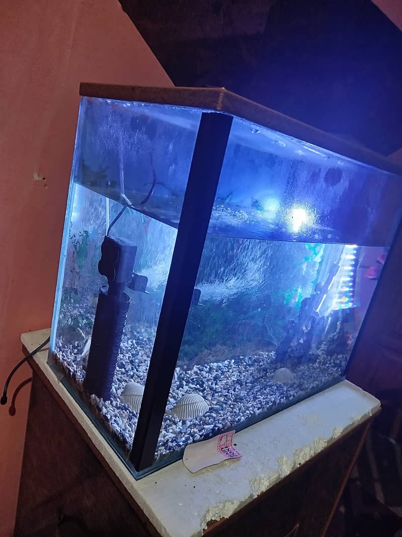 Fish aquarium for sale 1