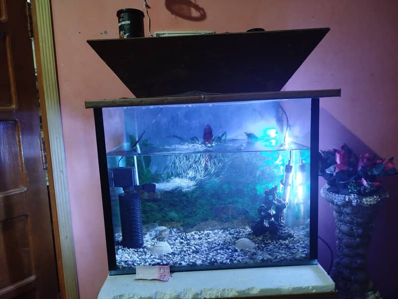 Fish aquarium for sale 2