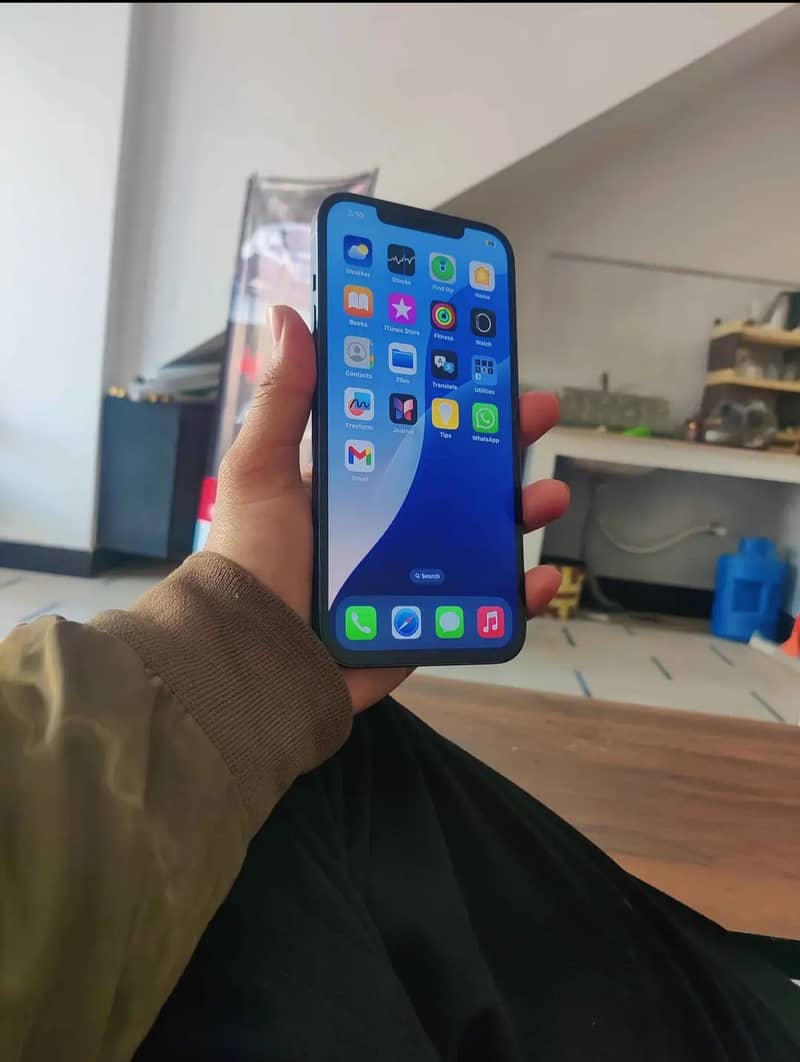 Apple iPhone 12 Pro Max 2