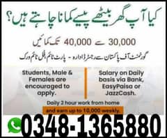 online job / part time/full time/ students/house holder