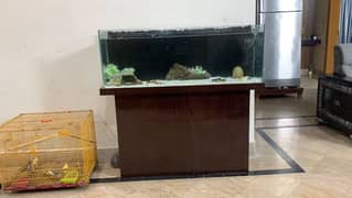 4 foot aquarium