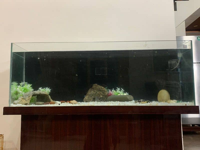 4 foot aquarium 1