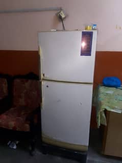 Pel. . . . . . . refrigerator