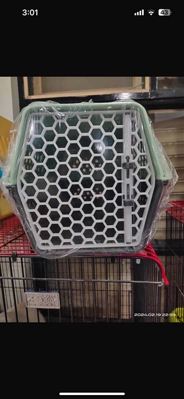 cat,dogcages/petcage 5