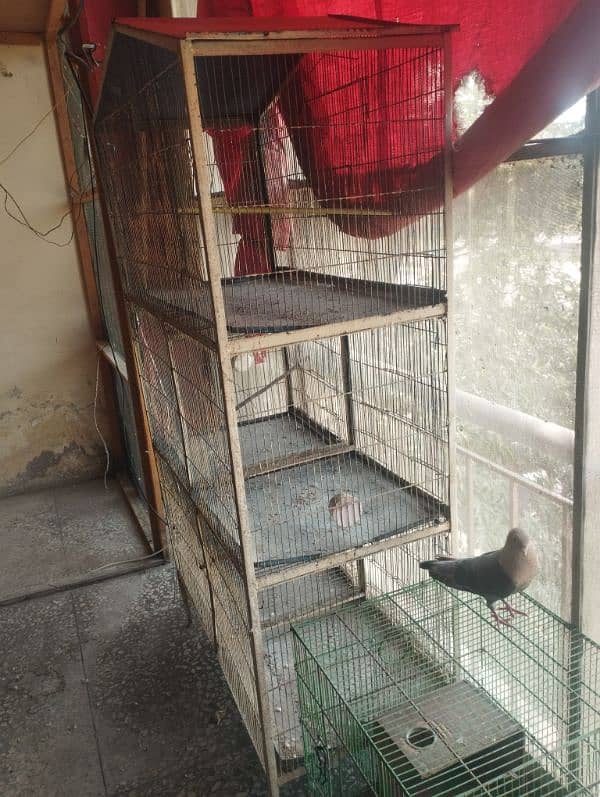 Bird Cage for sell 0