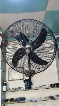 fan