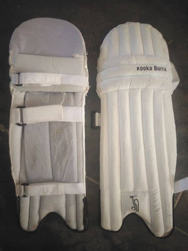 CRICKET KIT 7