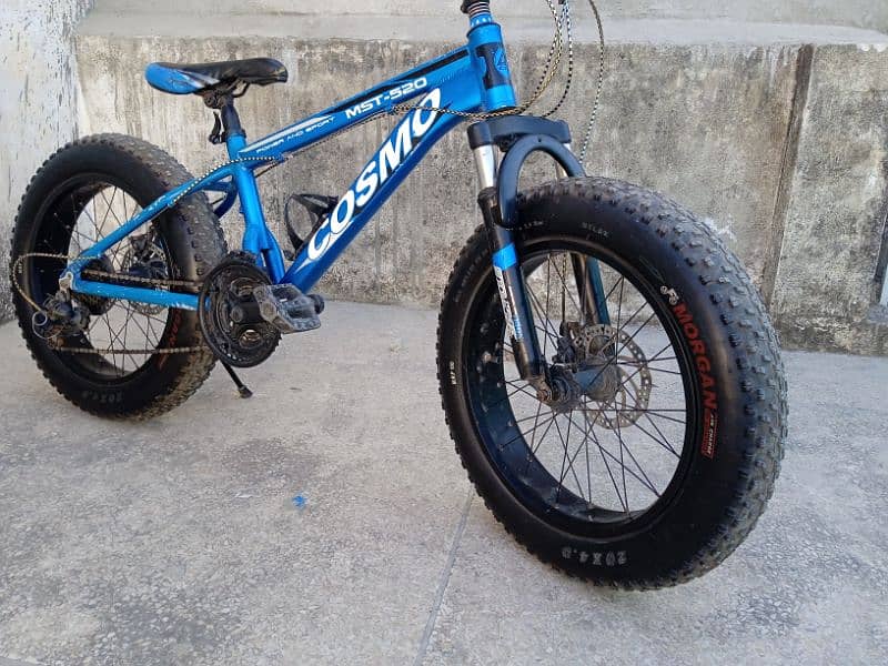 cycle fat tire 1