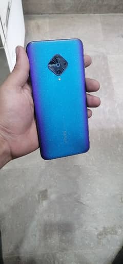 vivo