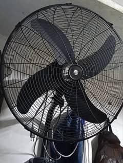 FAN