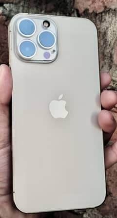 Apple iPhone 13 Pro Max