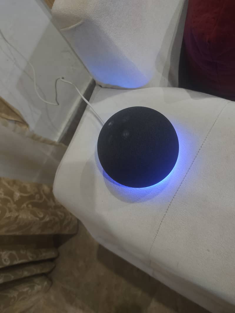 Echo dot alexa 0