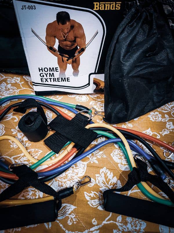 RESISTANCE BANDS:HOME GYM 1