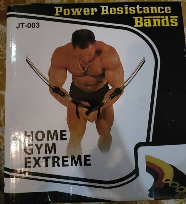 RESISTANCE BANDS:HOME GYM 2