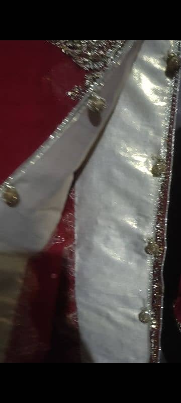 lehnga new 2