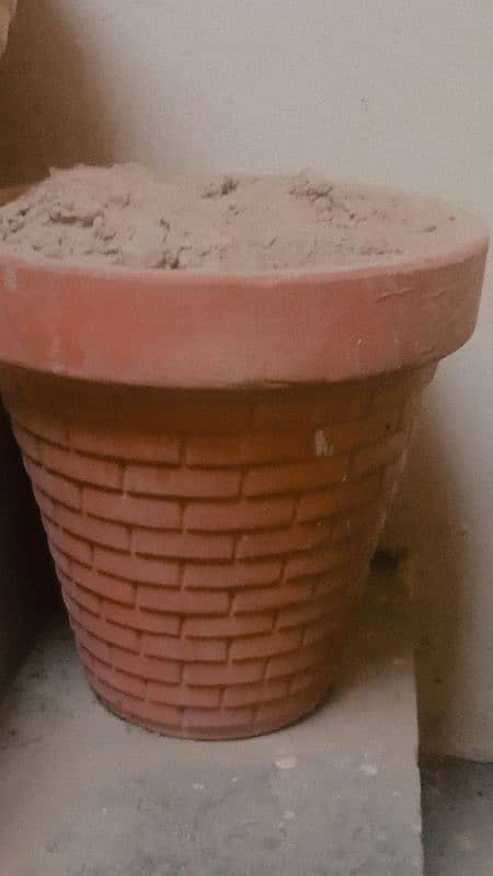 plant pots 2