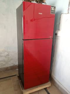 Haier red door medium size refrigerator