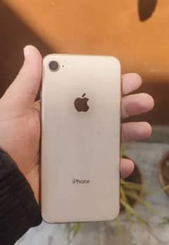 iPhone 8