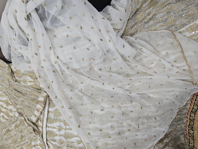 chiffon white lehnga from brand in Large size 6