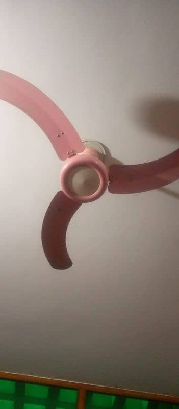 Royal ceiling fan for sale 0