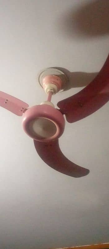 Royal ceiling fan for sale 1