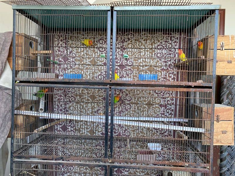 bird cage 4 portion 6 feet 0