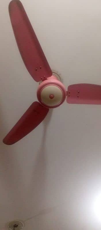 Royal fan for sale 0