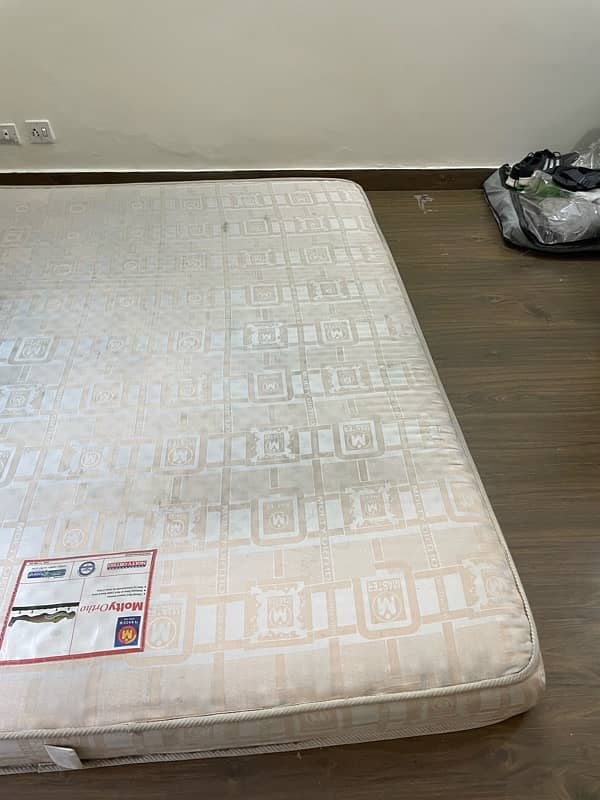 Molty ortho mattress 4