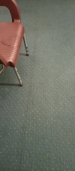 carpet