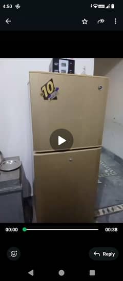 Pel medium size Refrigerator 8/10 condition